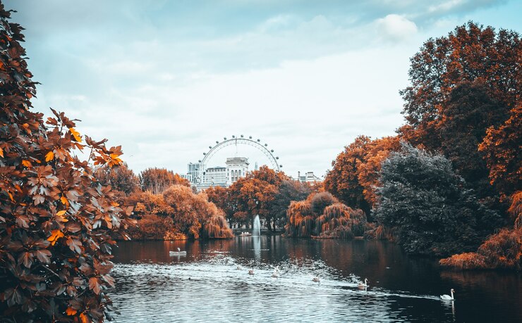 A beautiful London lake surrounded by autumnal trees.