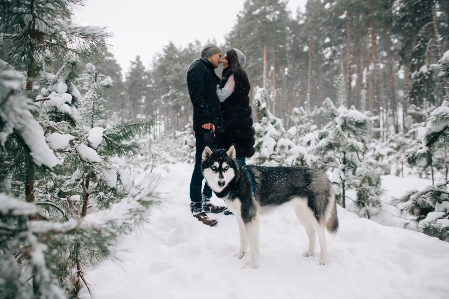 Aventure nordique pour un week-end en amoureux insolite